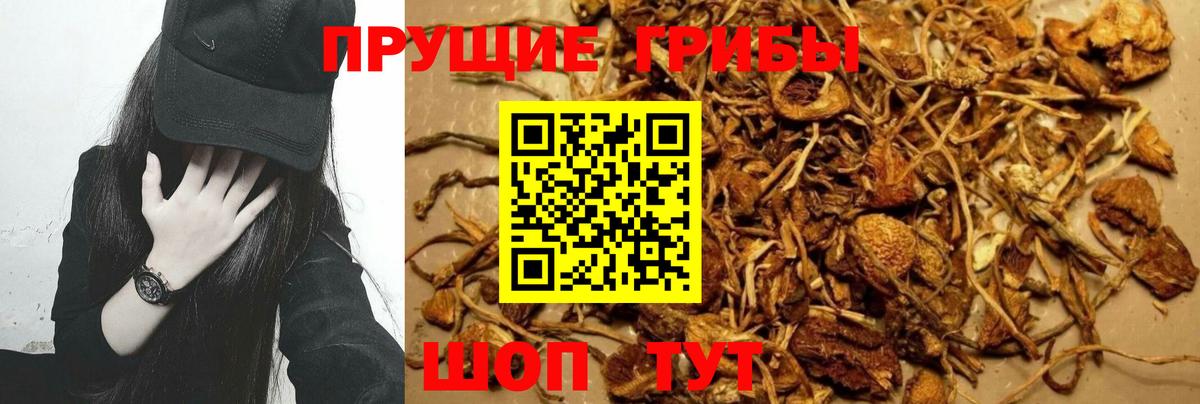Псилоцибиновые грибы мухоморы Тулун
