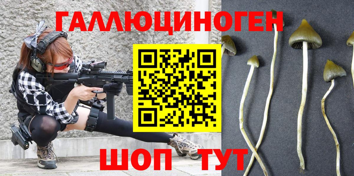 Тулун  Галлюциногенные грибы мухоморы  Вход с VPN 